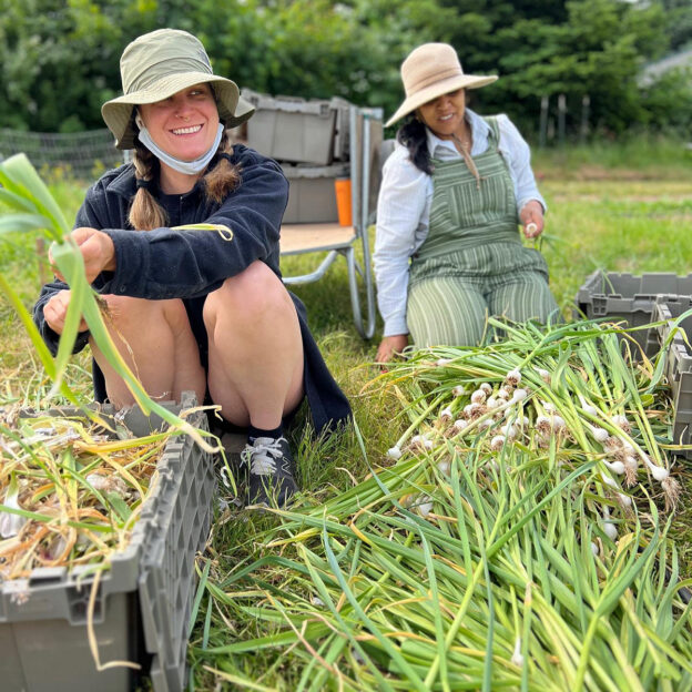 Apprentices at Zenger Farm crouched down and smiling as they pick onions