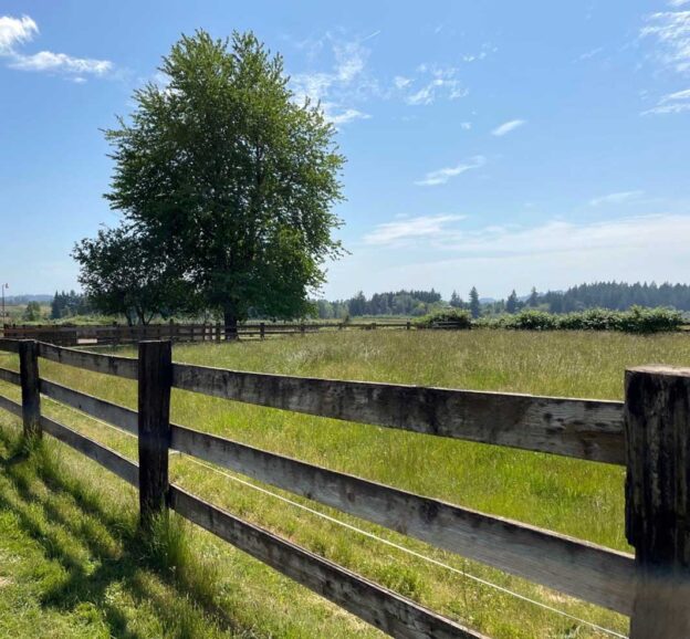 a grassy field with tree in the background a wood fence in the foreground