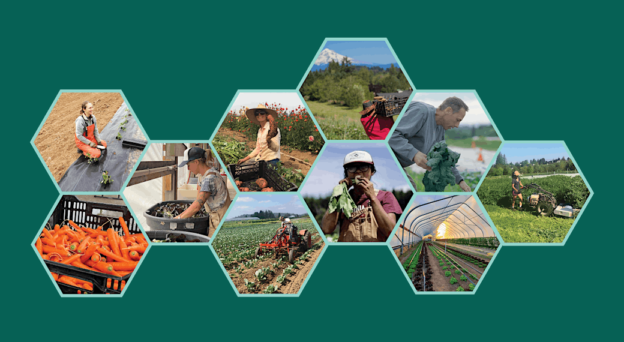 interlocking hexagon cutout photo montage of various farmers and farming scenes at Headwaters Farm
